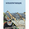Книга "Красная книга мира. Млекопитающие, птицы, рептилии, амфибии, рыбы", Дмитрий Лукашанец, Екатерина Лукашанец - 12