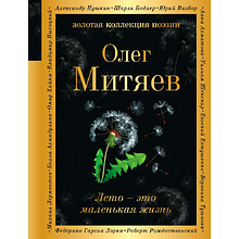 Книга "Лето - это маленькая жизнь", Олег Митяев