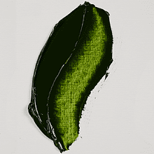 Краски масляные "Rembrandt", 623 травяной, 15 мл, туба