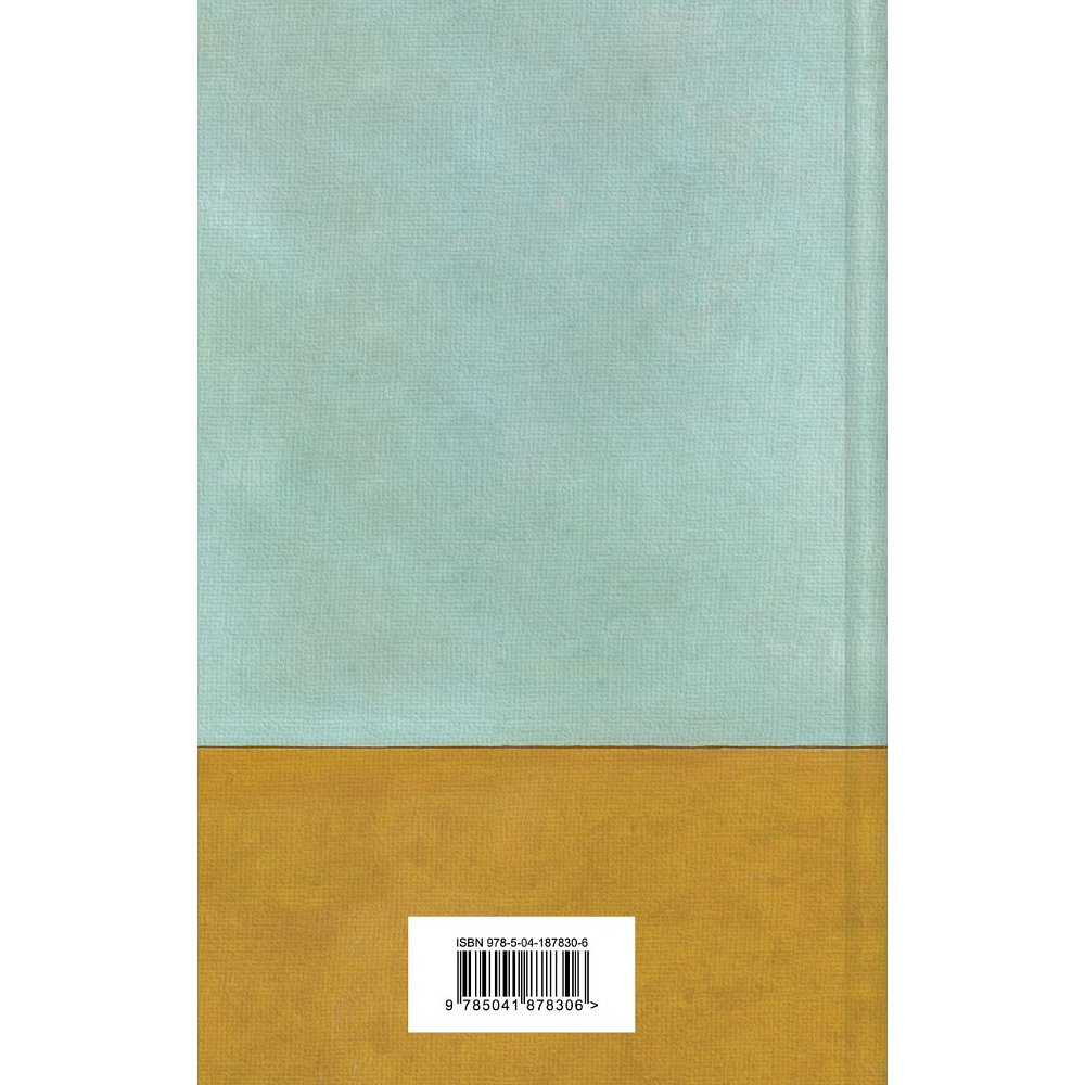 Книга "Письма к брату Тео", Винсент Ван Гог - 4