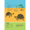 Книга "Эволюция: инфографика", Харриет Брандл - 2