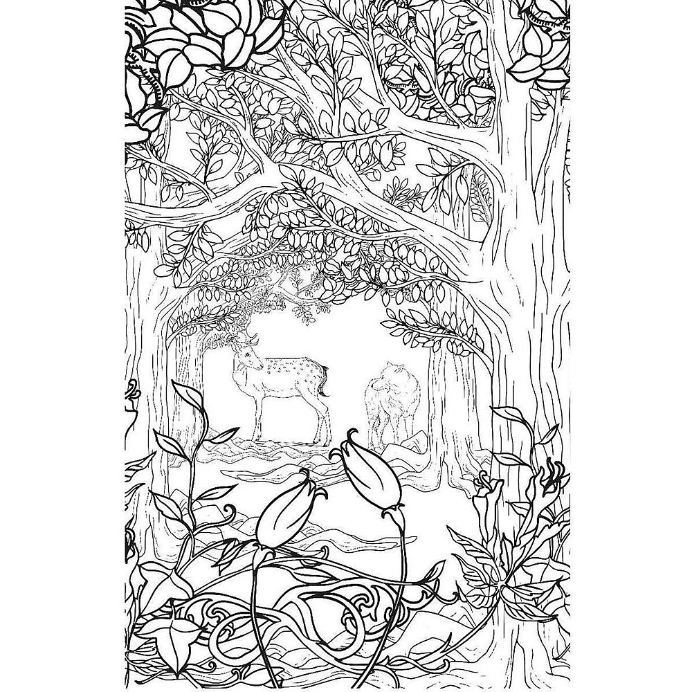 Раскраска "Загадочный лес. Мини-раскраска-антистресс для творчества и вдохновения" - 4