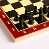 Игра настольная "Шахматы Волшебного нового года" дерево, 29х29 см - 4